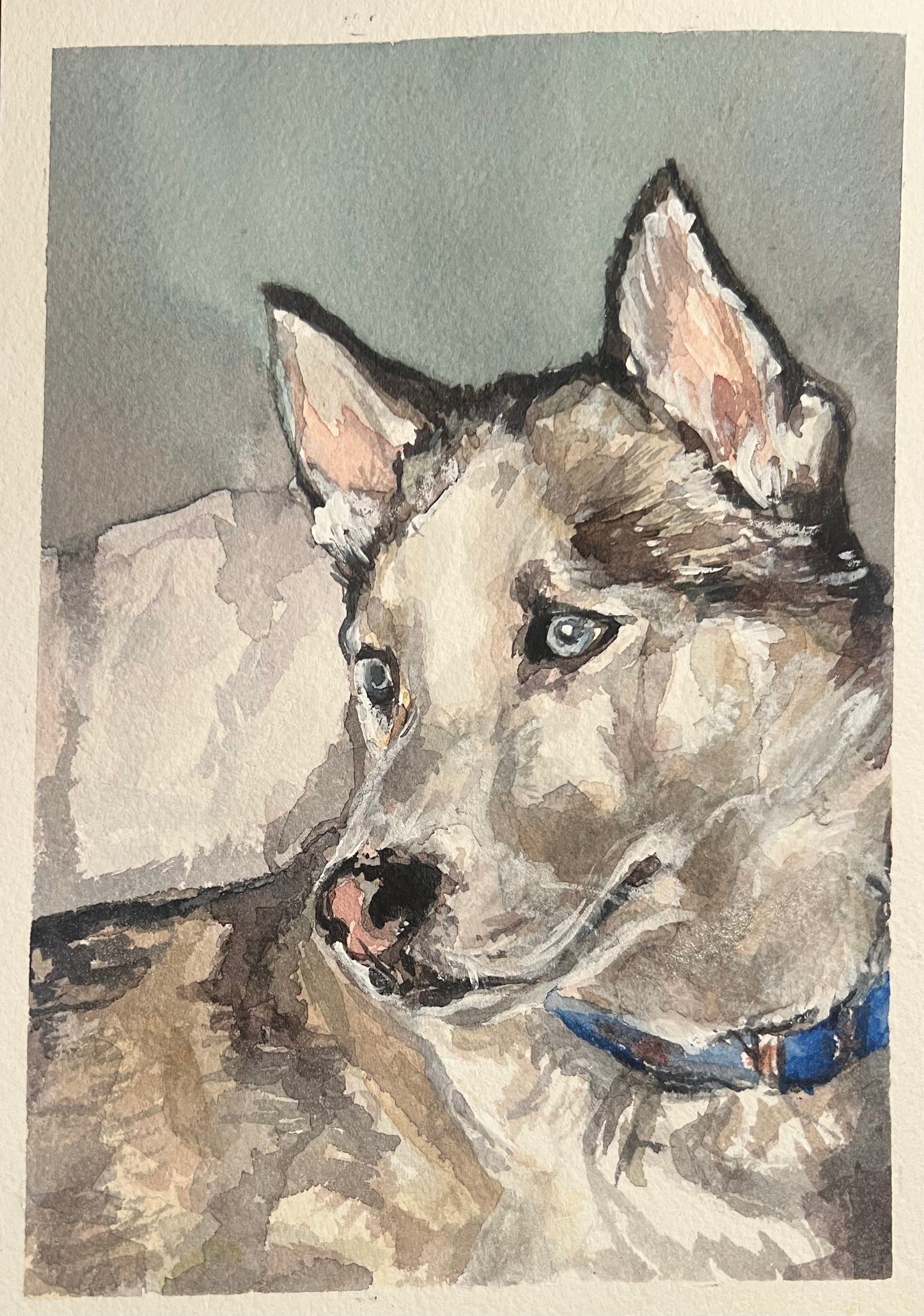 This is a watercolor painting with a dog with a blue collar