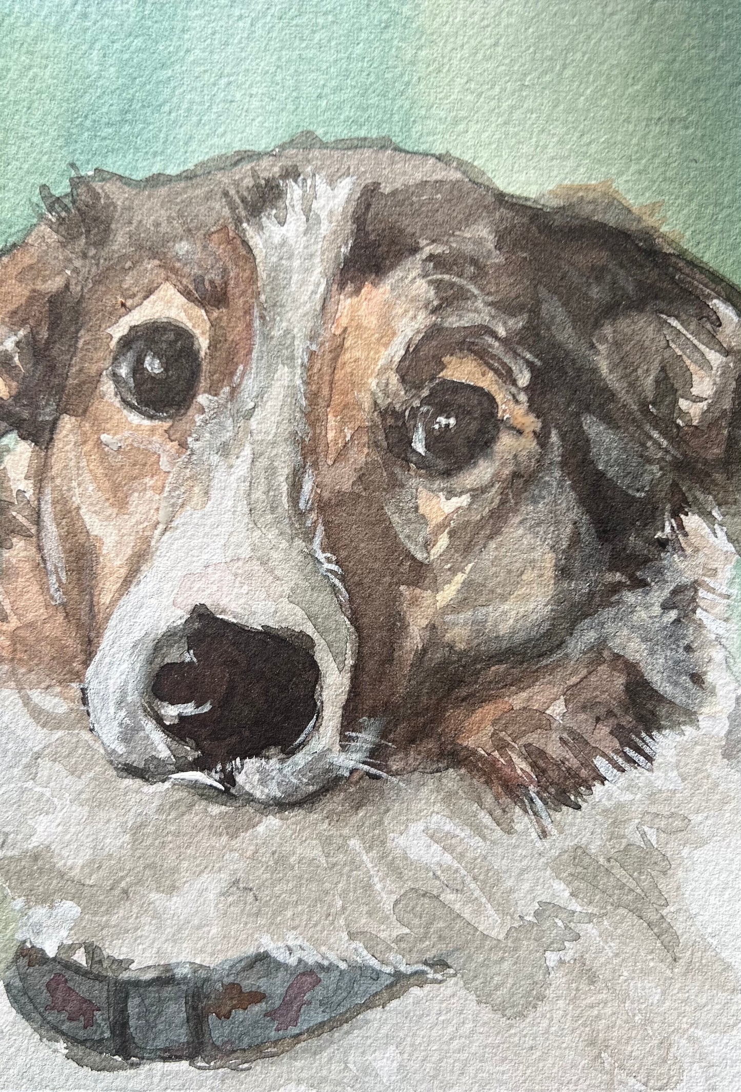 This is a watercolor painting with a dog with big eyes
